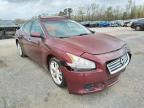 NISSAN - MAXIMA
