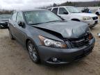 HONDA - ACCORD