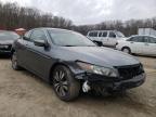 HONDA - ACCORD