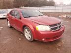 DODGE - AVENGER