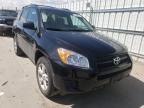 TOYOTA - RAV4