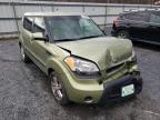 KIA - SOUL