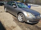 NISSAN - MAXIMA