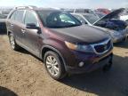 KIA - SORENTO