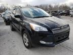 FORD - ESCAPE