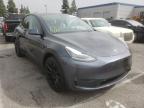 TESLA - MODEL Y