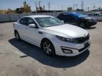 KIA - OPTIMA