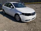KIA - FORTE
