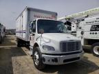 FREIGHTLINER - M2 106 MEDIUM