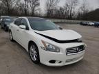 NISSAN - MAXIMA