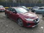 NISSAN - MAXIMA
