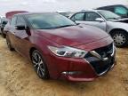 NISSAN - MAXIMA