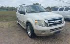 FORD - EXPEDITION