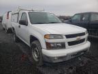 CHEVROLET - COLORADO