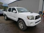 TOYOTA - TACOMA