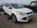 FORD - ESCAPE