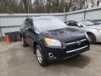 TOYOTA - RAV4