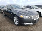 JAGUAR - XF