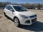 FORD - ESCAPE