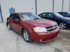 DODGE - AVENGER