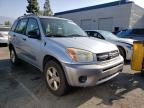 TOYOTA - RAV4