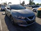NISSAN - MAXIMA