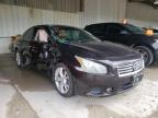 NISSAN - MAXIMA