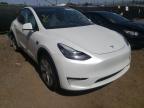 TESLA - MODEL Y