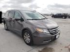 HONDA - ODYSSEY