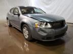 DODGE - AVENGER