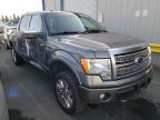 FORD - F-150