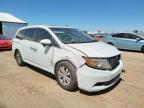 HONDA - ODYSSEY