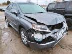 LEXUS - RX350
