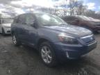 TOYOTA - RAV4