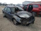 FORD - TAURUS