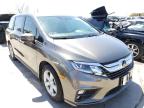 HONDA - ODYSSEY