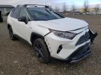 TOYOTA - RAV4