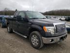 FORD - F-150