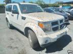 DODGE - NITRO