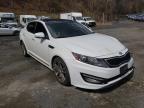 KIA - OPTIMA