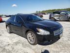 NISSAN - MAXIMA