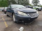 LEXUS - ES350