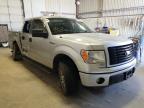 FORD - F-150