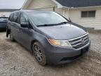 HONDA - ODYSSEY