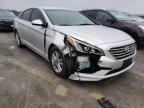 HYUNDAI - SONATA