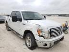 FORD - F-150
