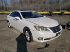 LEXUS - ES350