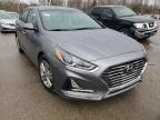 HYUNDAI - SONATA