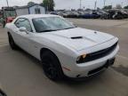 DODGE - CHALLENGER