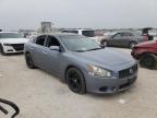 NISSAN - MAXIMA